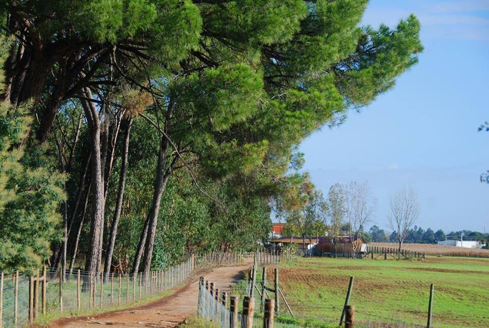 Casal Das Flores Ξενοδοχείο Torres Novas Εξωτερικό φωτογραφία