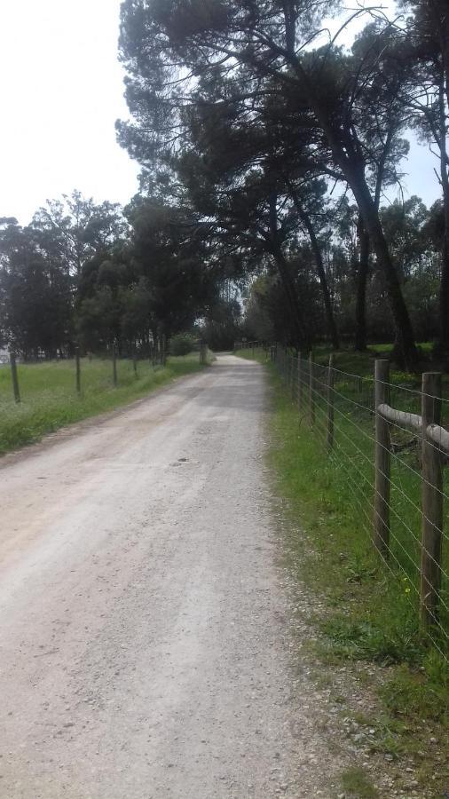 Casal Das Flores Ξενοδοχείο Torres Novas Εξωτερικό φωτογραφία