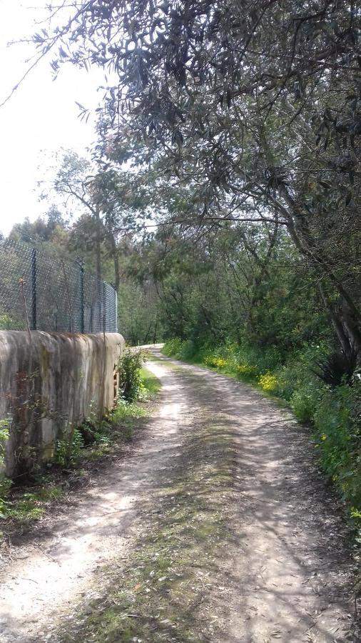 Casal Das Flores Ξενοδοχείο Torres Novas Εξωτερικό φωτογραφία